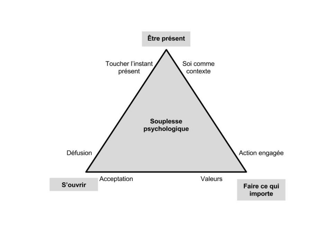 La thérapie ACT en 3 points